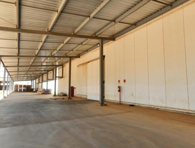 Câmara Fria – Sementes São Francisco – Rio Verde – GO