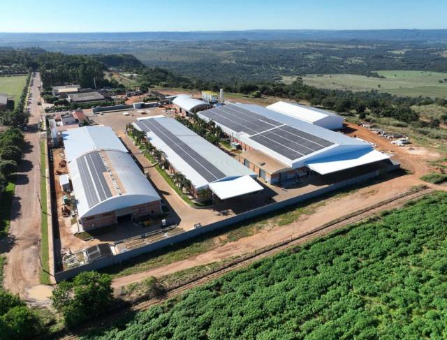 Udesil – Usina de Deslintamento de Sementes